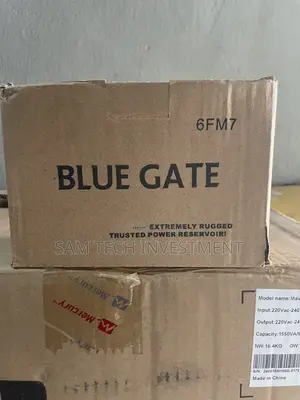 Blue Gate UPS Battery