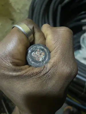 2.5mm 4per Armored Cable