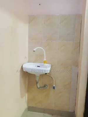 Mini Flat in Irawo Owode, Ketu-Alapere for rent