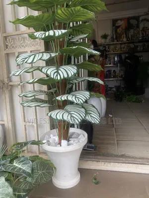 Plant Artificial