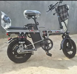 Electric Bike