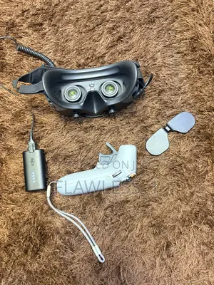 DJI Goggles 2 With Rc 2 Motion Controller