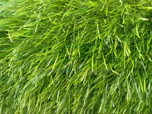 Quality Standard Artificial Grass 30mm