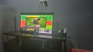 Television