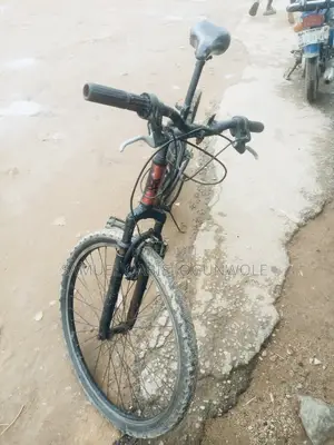 Bicycle Ride