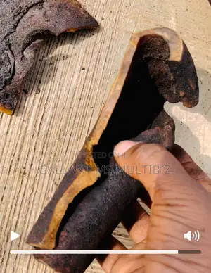Ponmo Ijebu