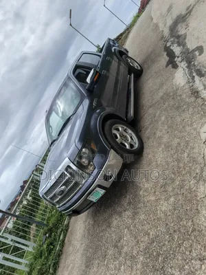 Ford F-150 2010 Gray