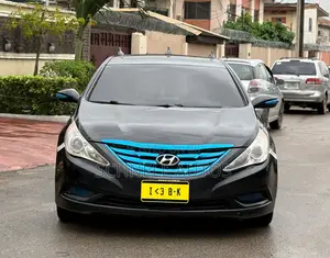 Hyundai Sonata 2013 Brown