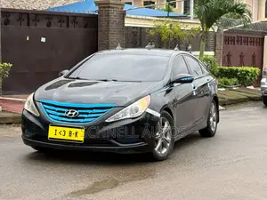 Hyundai Sonata 2013 Brown