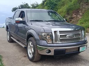 Ford F-150 2010