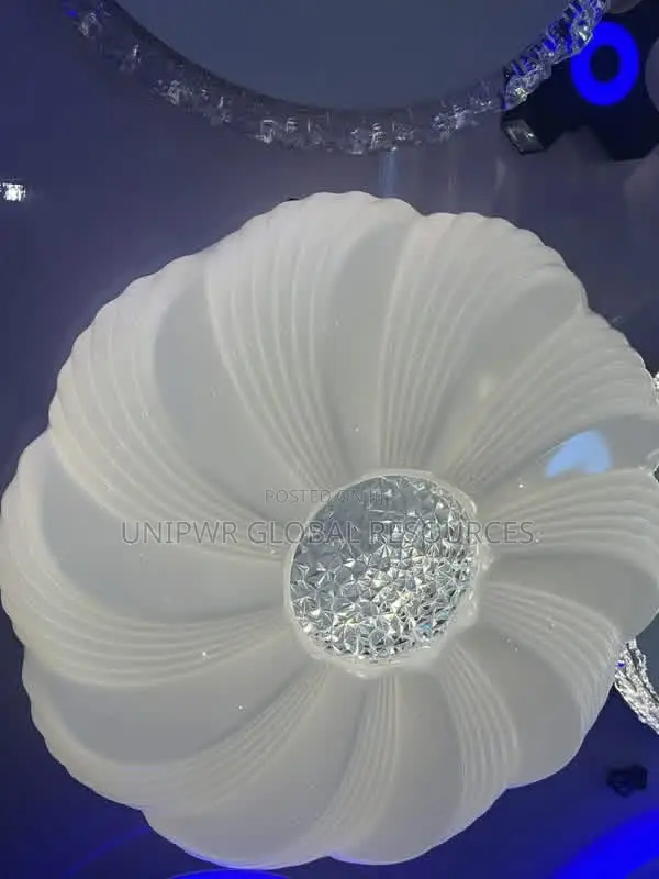 LED Ceiling Light