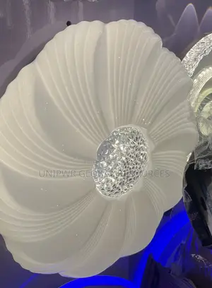 LED Ceiling Light
