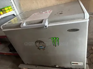Haier Thermocool 319L Chest Freezer – Fairly Used
