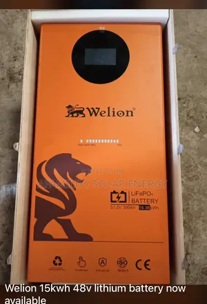 15kwh Welion Lithium Battery