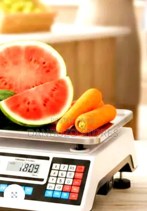 Electronic Price Computing Scale