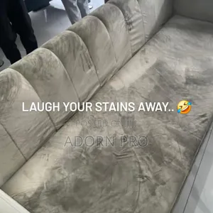 Professional Sofa Cleaning