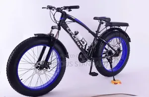 BICYCLE SIZE 24 FAT TIRE Blue and Green Color