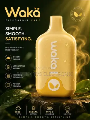 Vape(6000 Puffs)waka Brand