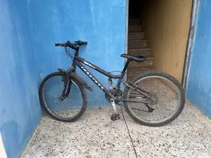 Neatly Used Bicycle