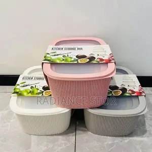 4 Pieces Food Storage Containers