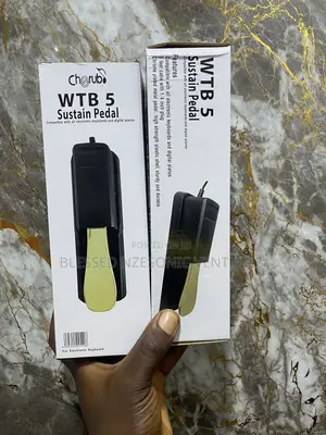 Keyboard Sustain Pedal
