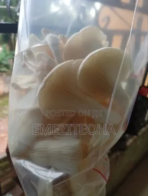 Mushrooms 250g