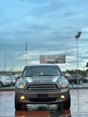 Mini Mini 2015 Brown