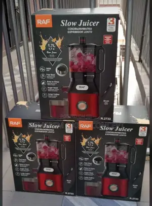 Raf Slow Juicer