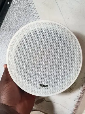 Original Dsppa Surface Hanging Ceiling Speakers
