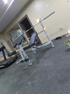 Adjustable Commercial Weight Bench Press for Home and Commercial Use