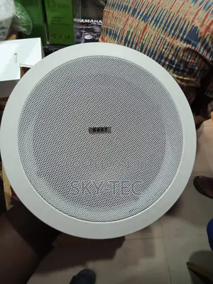 Dart 40w Ceiling Speakers