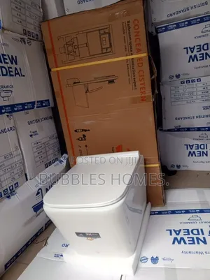 Concealed Wc