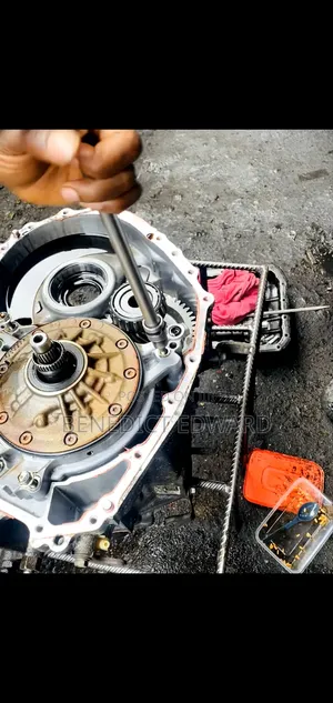 Gear Specialist