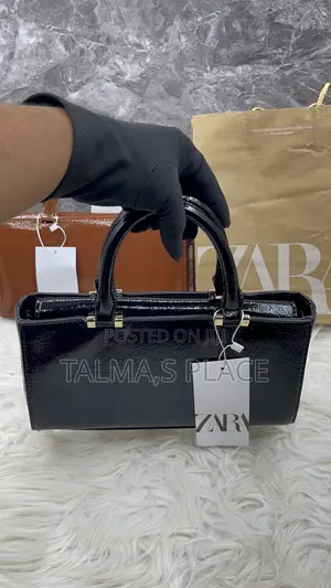 Zara Hand Bag