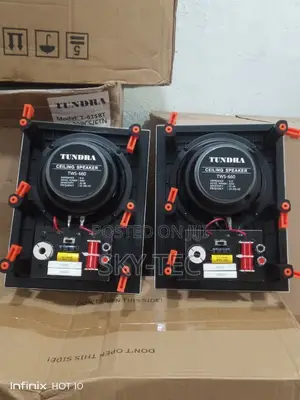 Tundra 60watts in Wall Speaker Flameless