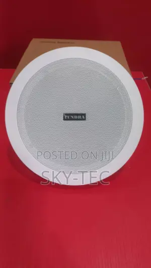 Tundra 30watts Ceiling Speakers