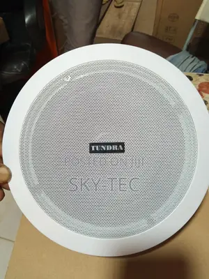 Tundra 30watts Passive Ceiling Speakers