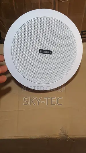Tundra 50watts Passive Ceiling Speaker