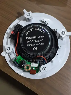 JBL 250watts Passive Ceiling Speaker Big Magnet