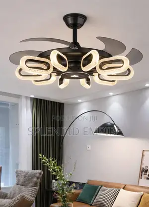 Black Body Luxury Fan Light