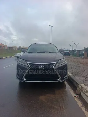 Lexus RX 2011 Gray