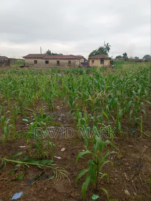 1000sqmnof Land for Sale