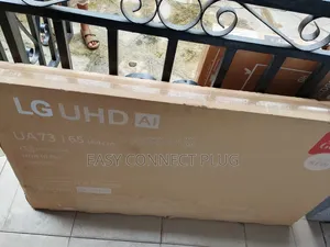 Standard LG Frameless 65" Smart TV + Bluetooth.