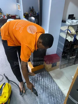 Abuja Exceptional Cleaning Service