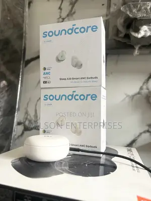 Soundcore Sleep A30 True Wireless Noise Masking Earbuds