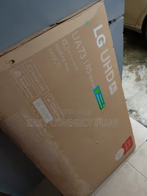 Standard LG 65" TV (Smart) + Netflix -UA73/65.
