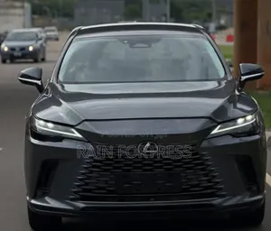 Lexus RX 2022 Gray