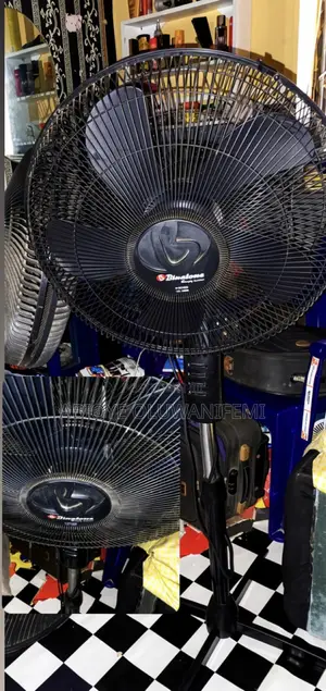 Standing Fan