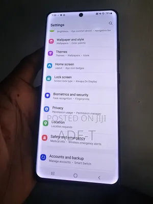 Samsung S21 Ultra Screen With Frame