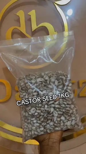 Castor Seed